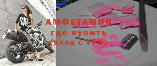ECSTASY Алзамай