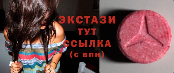 ECSTASY Алзамай
