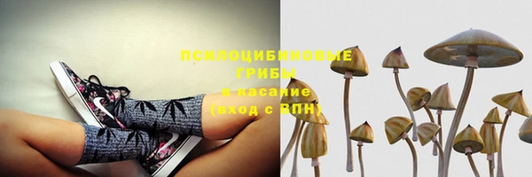 соль курить ск Алексеевка