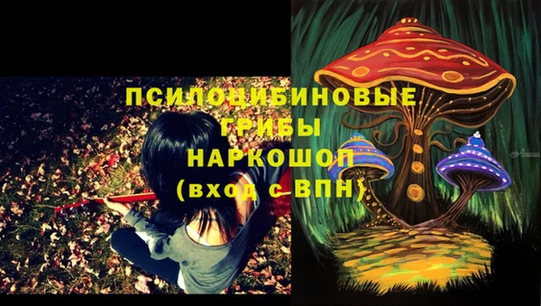 ECSTASY Алзамай