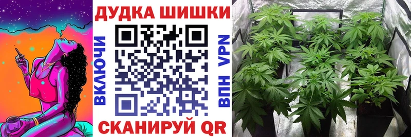 Марихуана план  даркнет состав  Нелидово  наркота 